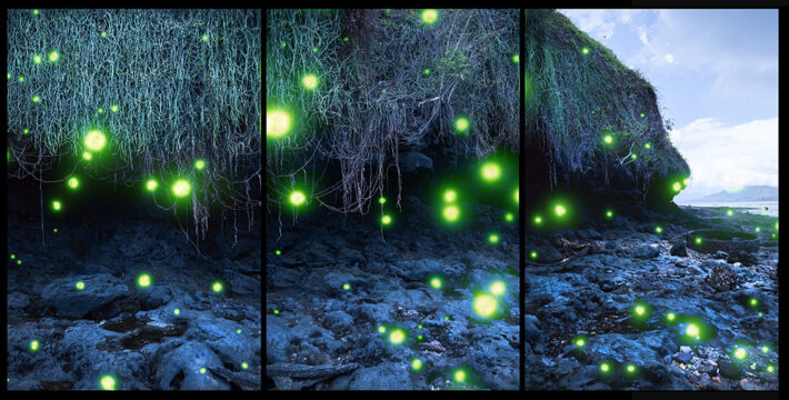 Une scène nocturne en trois parties montrant des lucioles illuminant une zone boisée et rocheuse.