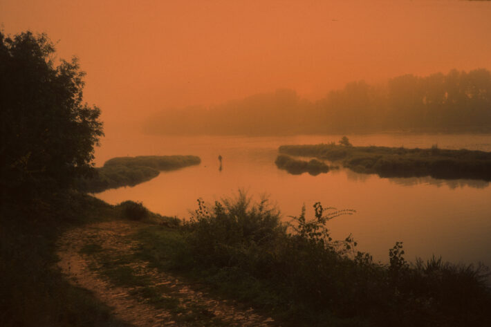 Lever de soleil sur une rivière calme avec une personne debout au milieu de l'eau, entourée de végétation.