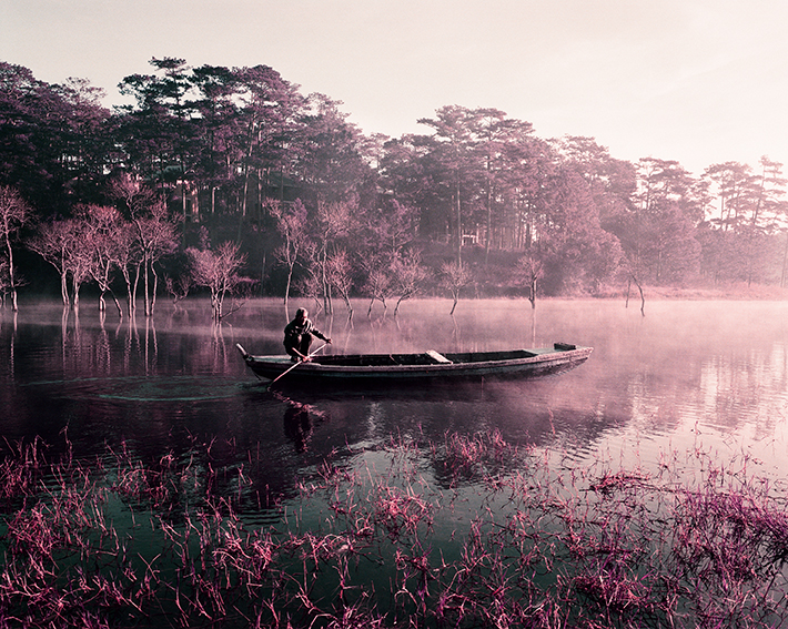 Une personne en bateau sur un lac entouré d'arbres roses.